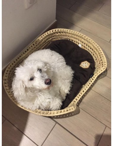 Panier Corbeille à CHIEN ou CHAT - Tressé  Main en Palmier - Pour animaux - ARTISANAL paille osier rotin Pour